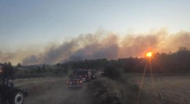Tekirdağ’da otluk alanda çıkan yangından güzel haber geldi