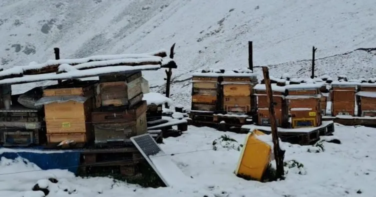 Rize'de yüksek kesimlere kar yağdı