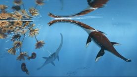 138 milyon yıllık deniz canavarı ortaya çıktı: Yepyeni bir tür