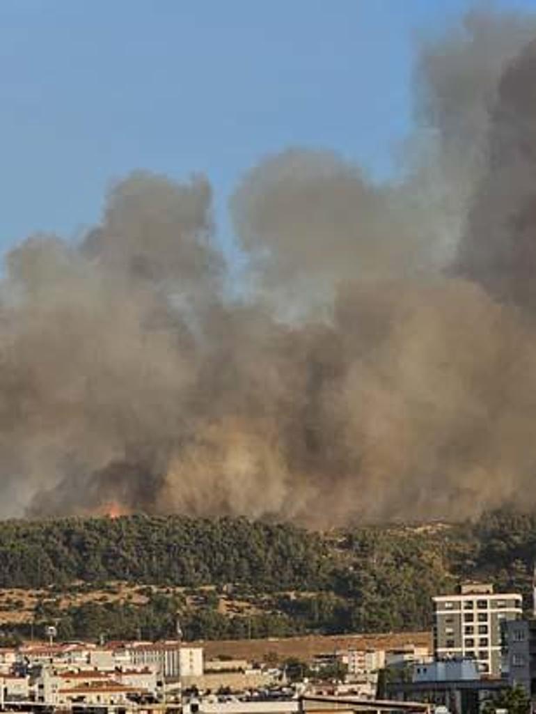 İzmir Bucada orman yangını Gün ağardı, küle dönen bölge görüntülendi