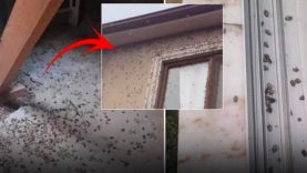 Tüm Türkiye’ye yayılmaya başladı: Acil eylem çağrısı geldi