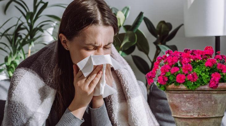 Soğuk algınlığı sezonunda evin mini eczanesi! Pencere kenarına koyun, baş ağrısına son