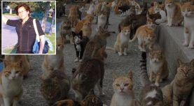 İzmir’den kahreden haber! 30 kedisiyle birlikte hayatını kaybetti