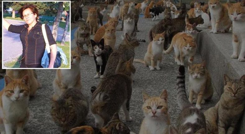 İzmir'den kahreden haber! 30 kedisiyle birlikte hayatını kaybetti
