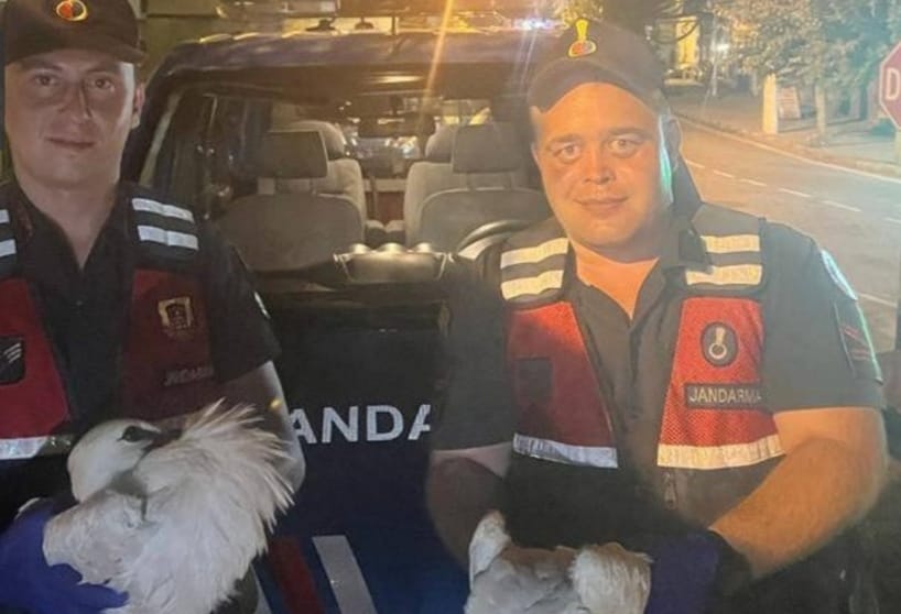 SÖKE İLÇE JANDARMA KOMUTANLIĞI’NDAN ŞEFKAT ELİ