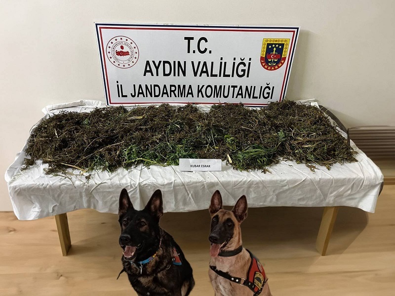 Koçarlı’da Uyuşturucu Operasyonu
