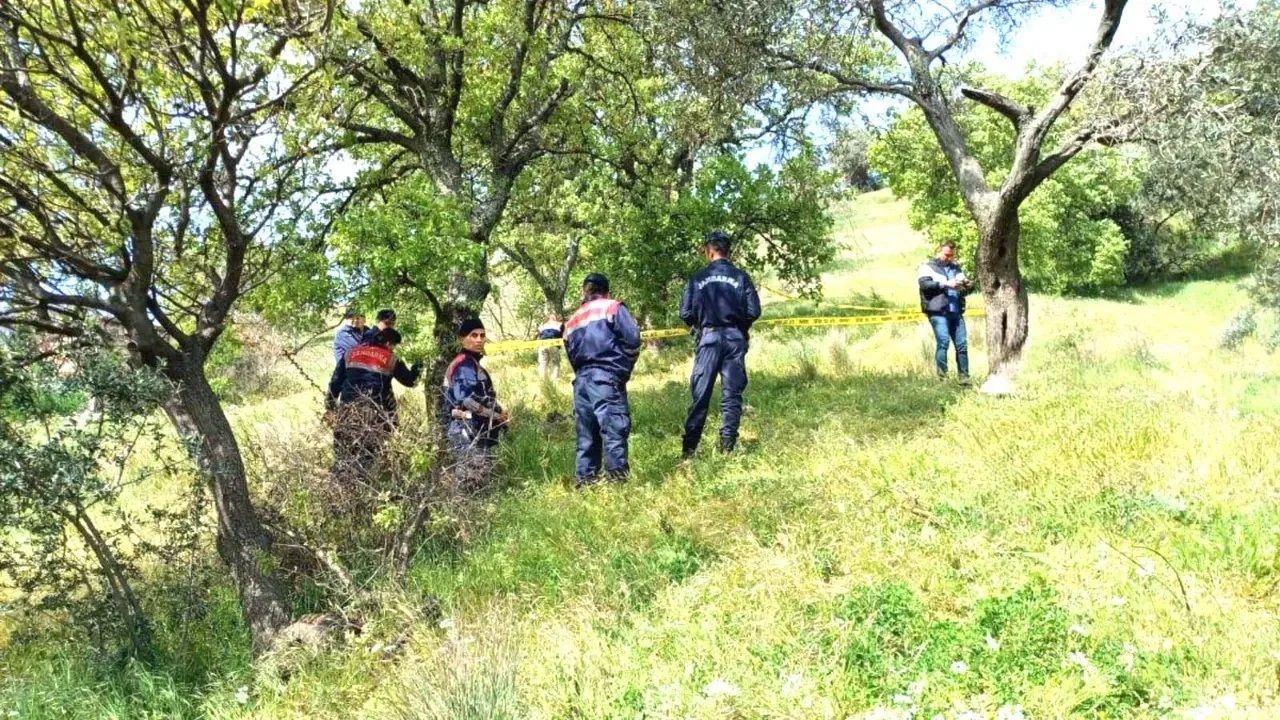 Aydın’da Ağaca Asılı Halde Bulundu