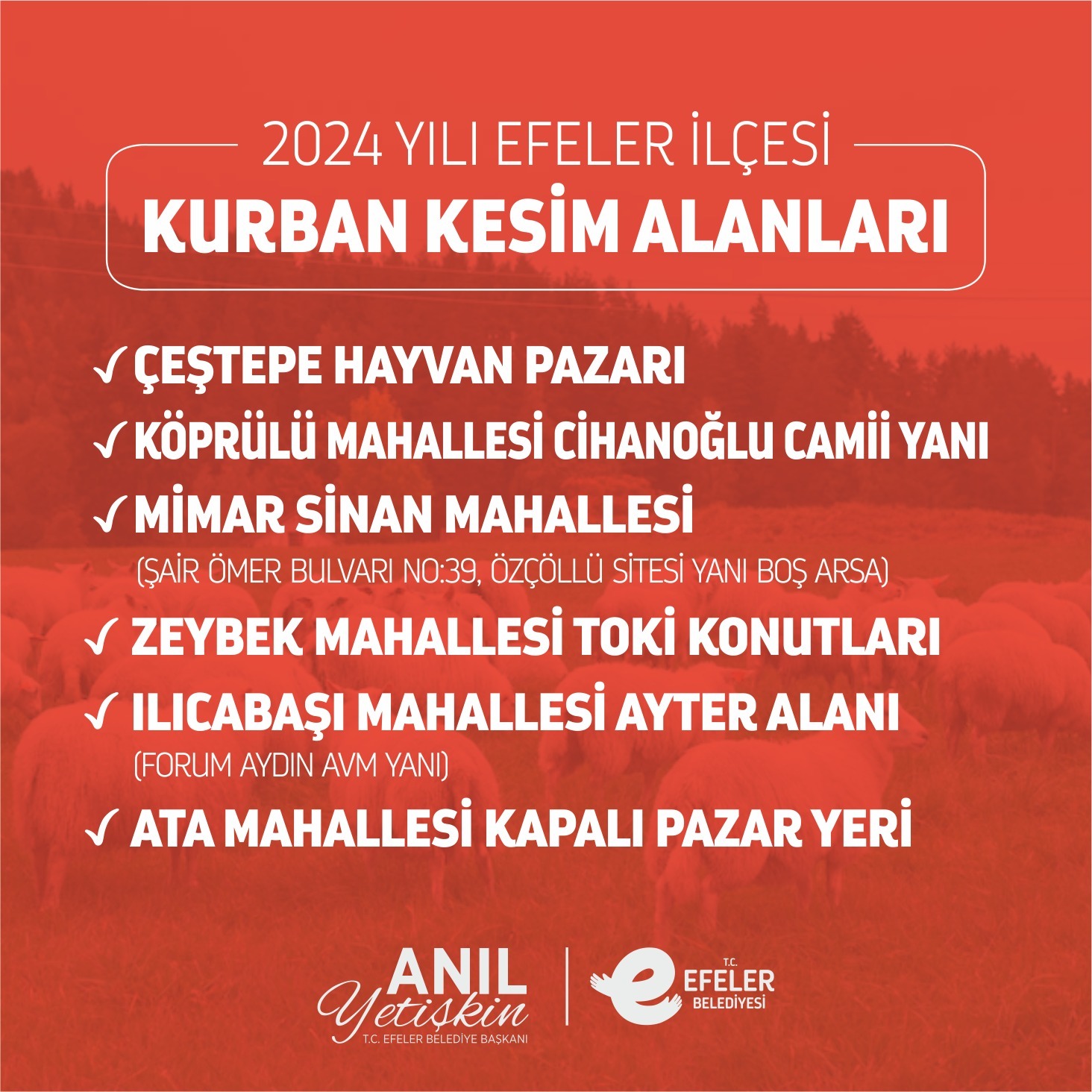 EFELER’DE KURBAN KESİM NOKTALARI BELİRLENDİ