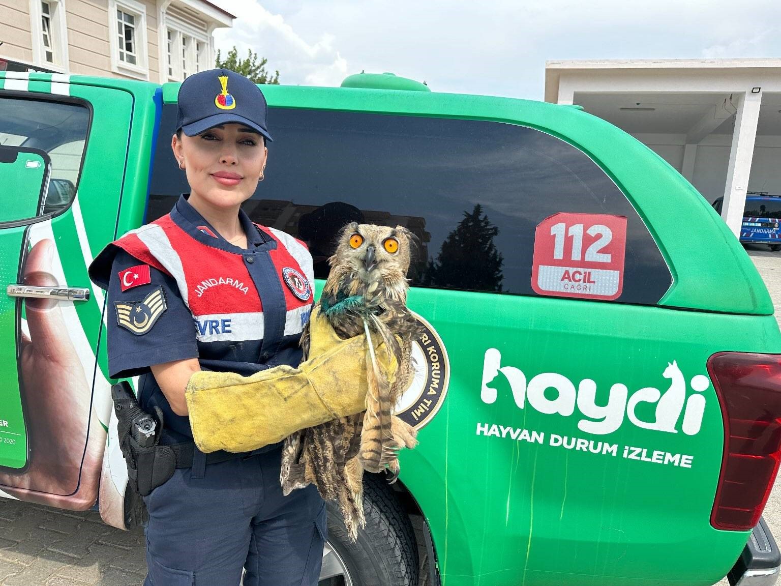 Jandarma HAYDİ Ekiplerinden Puhu Kuşuna Yardım Eli
