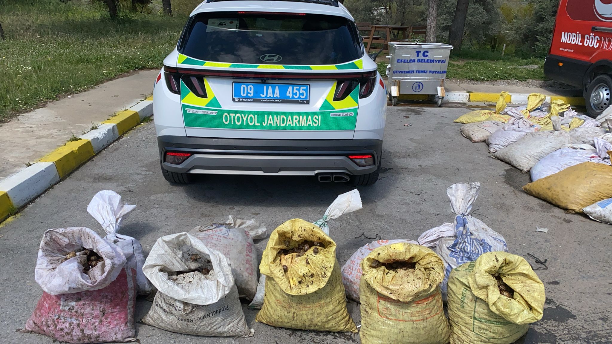 Aydın’da Kaçak Salyangoz Operasyonu: 1.800 Kilogram Ele Geçirildi