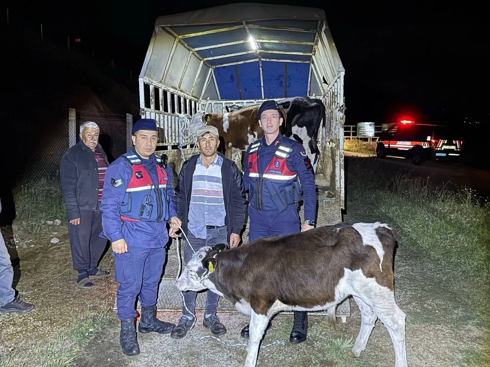 Aydın’da 3 kayıp hayvan bulundu