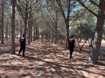 Aydın’da Ormanlara Girişler Kısıtlandı, Jandarma Denetimleri Sıklaştırdı