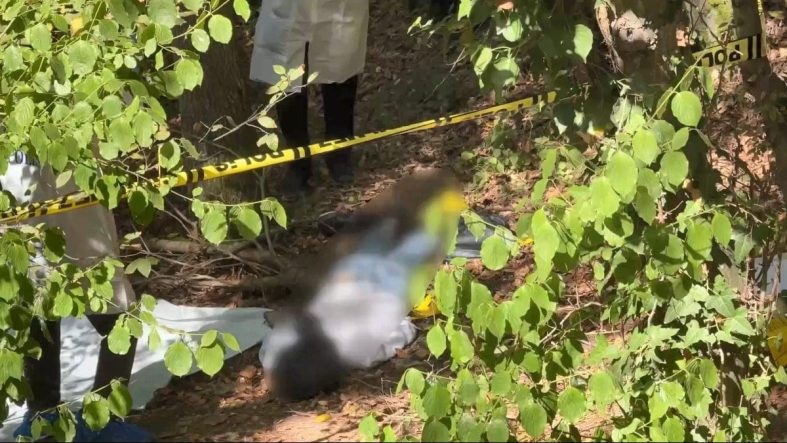 Sarıyer'de vahşet: Başına çöp poşeti geçirilip bantlanmış ceset bulundu