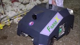 Türk mühendislerden ‘akıllı kümes’ hamlesi: Salgınlar robotla önlenecek