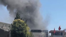 Esenyurt’ta çorap fabrikasında yangın çıktı!