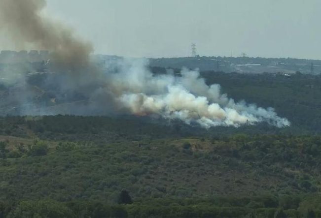 Sultangazi Kent Ormanı'nda yangın: Çok sayıda itfaiye ekibi bölgeye sevk edildi