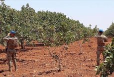 Gaziantep’te jandarma “Antep fıstığı” nöbetinde