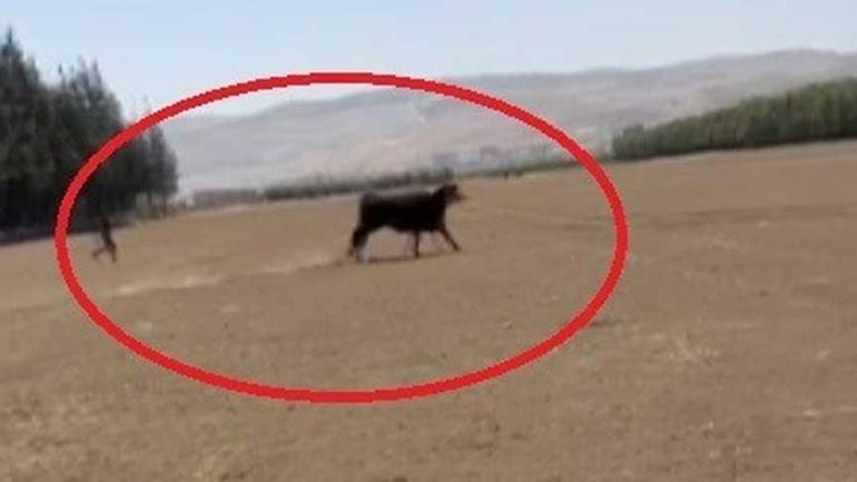 Bir kent diken üstünde 1 aydır aranıyorlar: ‘Gören olursa hemen kaçsın’