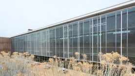Üniversite yurdunda korkunç olay: 1 ölü 1 yaralı
