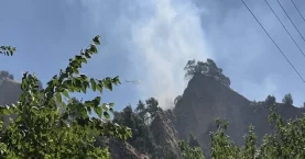 Aydın’da tarım arazisinde yangın