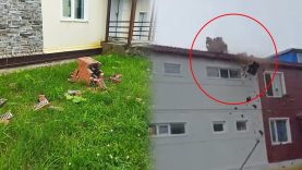Herkes tuzla buz olur diyordu, 8.8 depreminde sadece orası yıkıldı