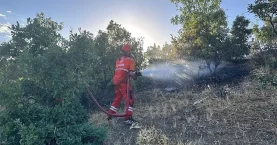 Bingöl’deki orman yangını kontrol altında