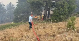 Doğanhisar’daki orman yangını 3’üncü günde kontrol altına alındı