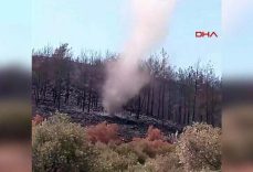 Hatay’da geçen ay yanan ormanda hortum çıktı