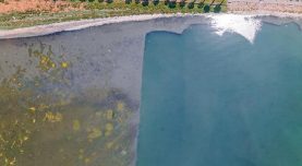 İzmit Körfezi’nde şaşırtan görüntü! Belediye başkanı paylaştı