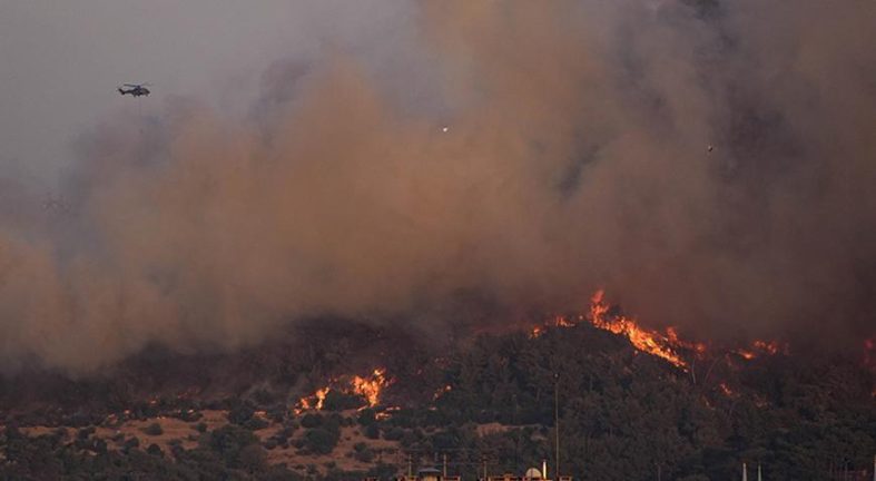 Buca'daki orman yangınıyla ilgili 1 kişi tutuklandı