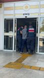 Aranan Suç Makinesi, Kenevir Tarlasında Yakalandı