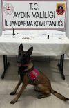 Aydın’da Otoyolda Uyuşturucu Operasyonu: İki Şüpheli Yakalandı