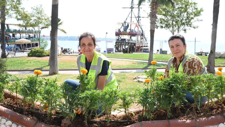 BAŞKAN ÇERÇİOĞLU’NDAN DİDİM’DE ÇEVRE VE PEYZAJ DÜZENLEMESİ