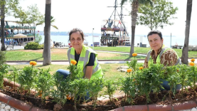 Didim’de çevre ve peyzaj düzenlemesi gerçekleştirildi