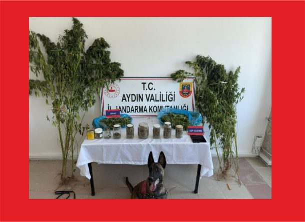 Aydın’da uyuşturucu operasyonu: 12 şüpheli yakalandı