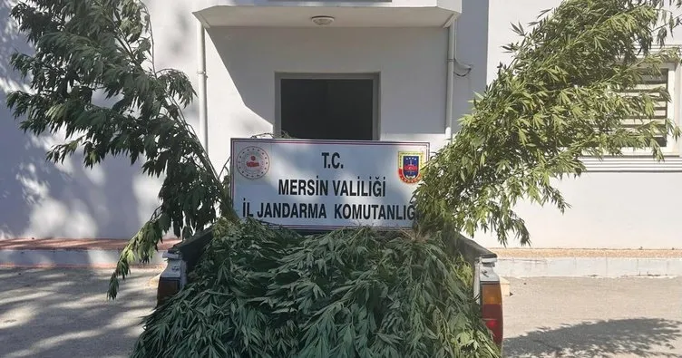 Mersin’de uyuşturucu operasyonunda 8 şüpheli gözaltına alındı