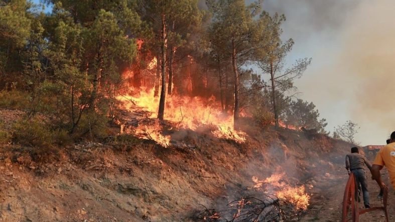 Tokat Gıj Gıj Tepesi’nde orman yangını kontrol altına alındı