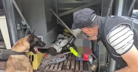 Valizinde 1 kilo 82 gram skunk ele geçirildi: Şüpheli gözaltına alındı!