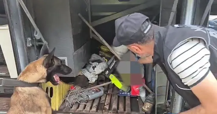 Valizinde 1 kilo 82 gram skunk ele geçirildi: Şüpheli gözaltına alındı!