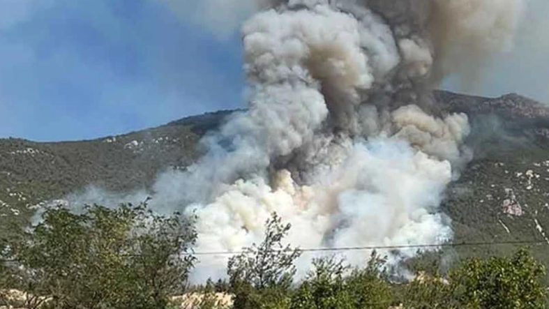 Denizli'de yangın paniği! Alevler ormanlık alanda sıçradı