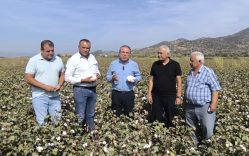 CHP’Lİ EVRİM KARAKOZ’DAN İKTİDARA ÇAĞRI: “PAMUK FİYATI 50 LİRA OLMALI, DESTEKLER ARTMALI”