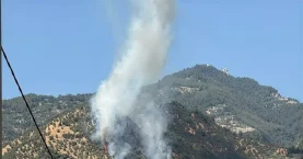 Aydın’da tarım arazisinde yangın