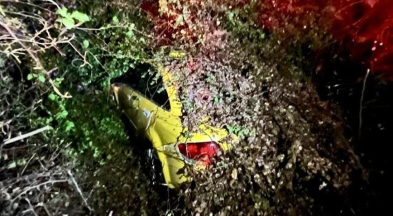 Seyir halindeki taksinin üzerine ağaç devrildi