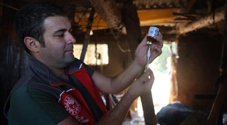 Milas'ta 'şap' alarmı! 11 mahallede 30 günlük karantina