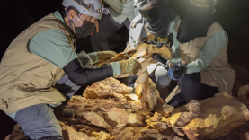 Mağarada 1800 yaşında bir canlı bulundu