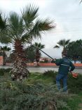 daha_yesil_bir_kusadasi (2)