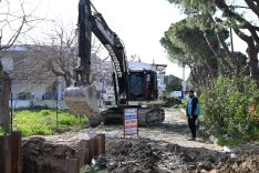 FOTOĞRAF (8)