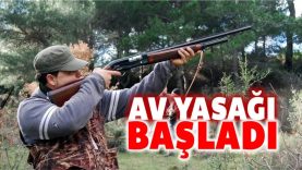 avyasağı