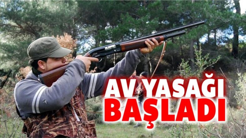 avyasağı