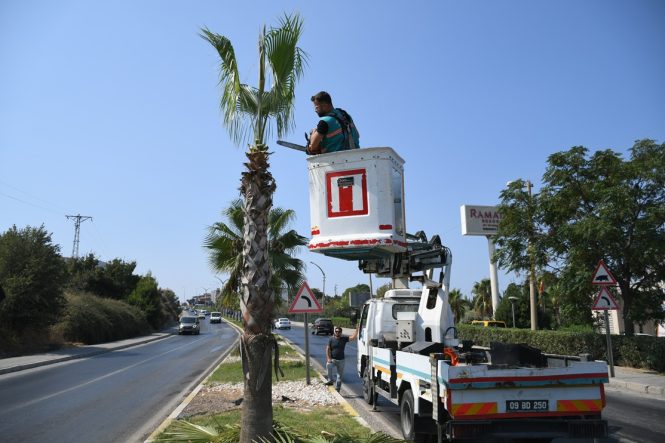 DAHA ESTETİK, DAHA YEŞİL BİR KUŞADASI İÇİN ÇALIŞMALAR SÜRÜYOR (2)